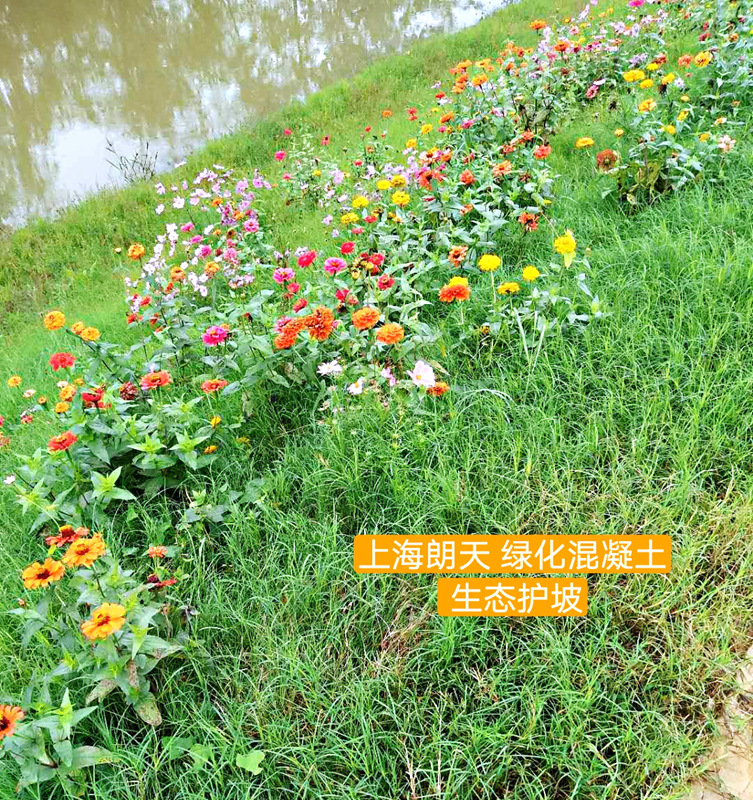 綠化混凝土,植被混凝土,植生混凝土,透水混凝土, 彩色混凝土,生態(tài)混凝土添加劑-長(zhǎng)江大保護(hù)流域治理綠化混凝土護(hù)坡